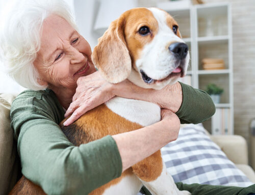 6 Benefits Of Pet Therapy For Seniors In Memory Care
