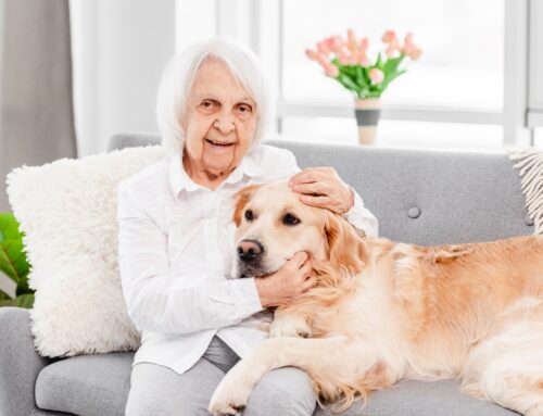 How Pet Companionship Improves Seniors’ Health And Happiness